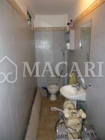 P1120675 -macari