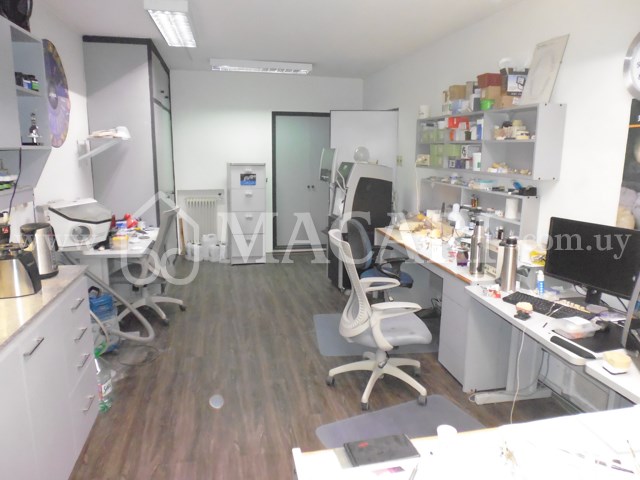 P1120678 -macari