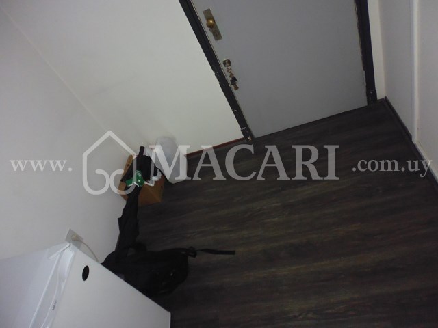 P1120682 -macari