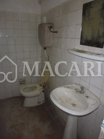 P1140983 -macari