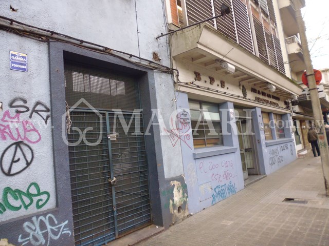 P1150004 -macari