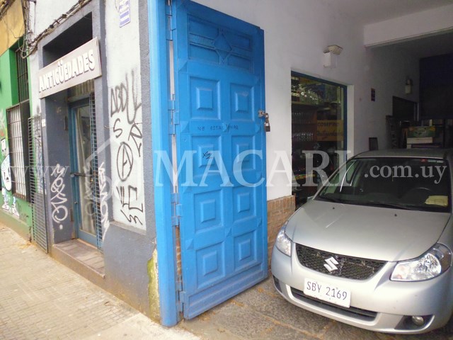 P1150008 -macari