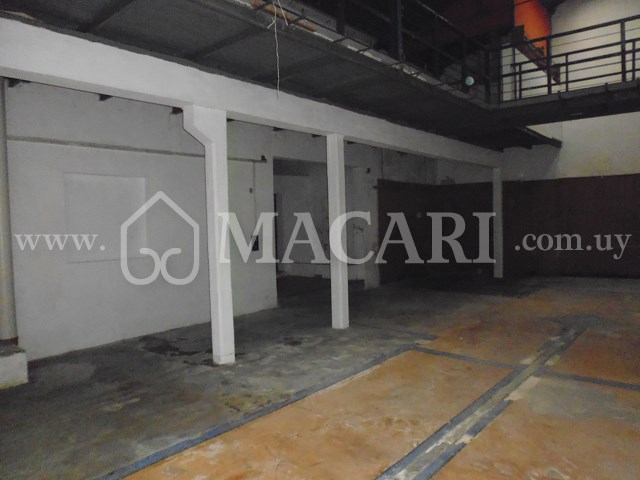 P1150018 -macari