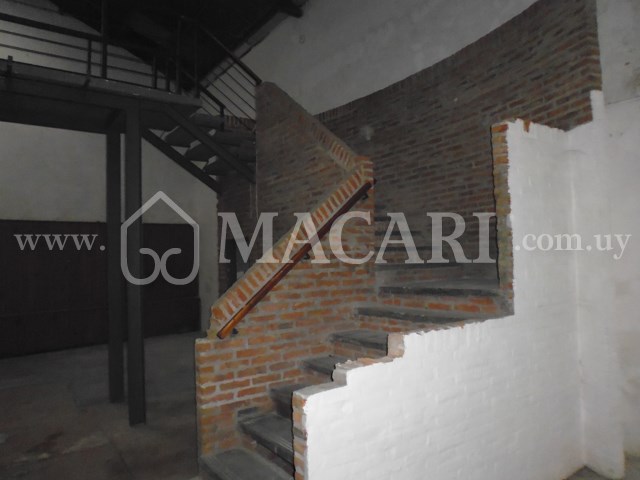 P1150019 -macari