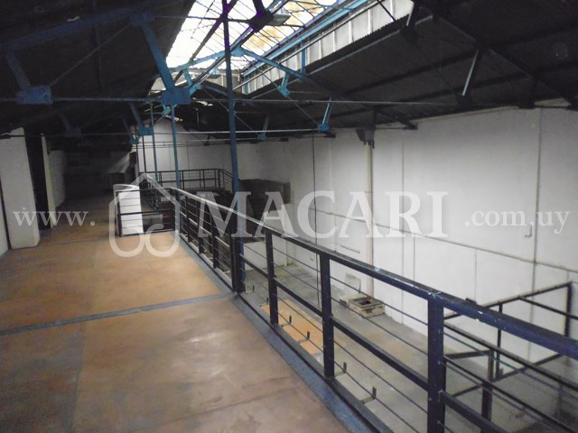 P1150025 -macari