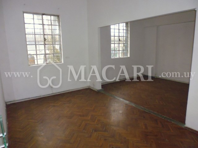 P1150034 -macari