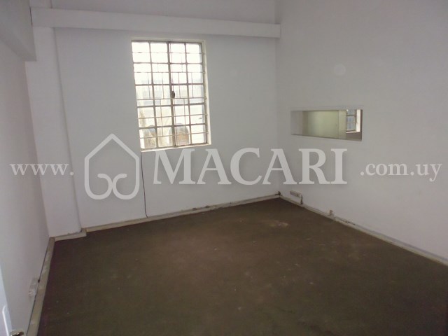 P1150039 -macari