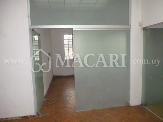 P1150045 -macari