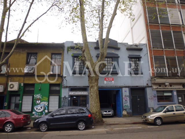 P1150049 -macari