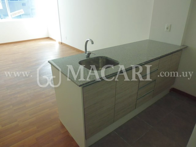 P1120817 -macari