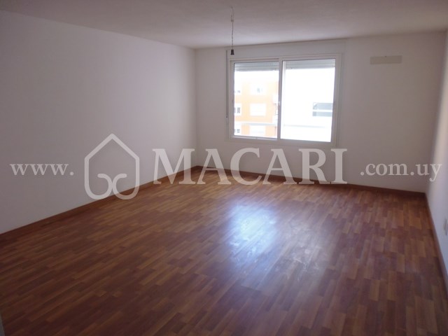 P1120824 -macari