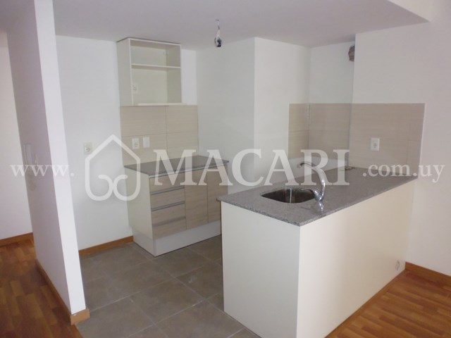 P1120828 -macari