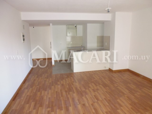 P1120834 -macari