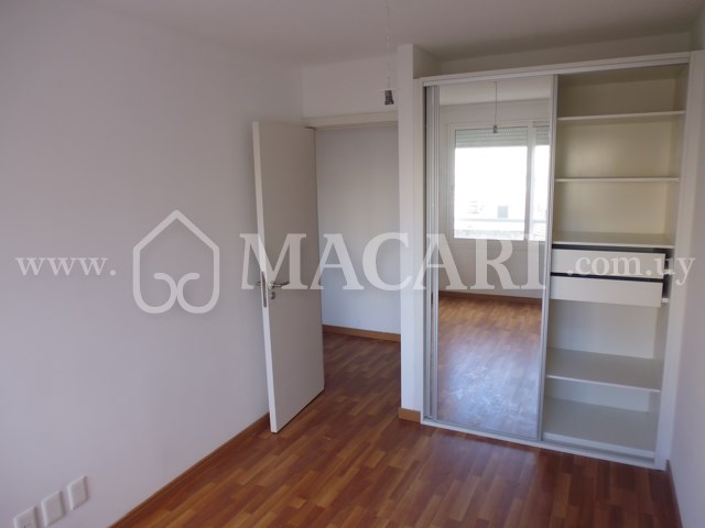 P1120845 -macari