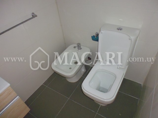 P1120851 -macari