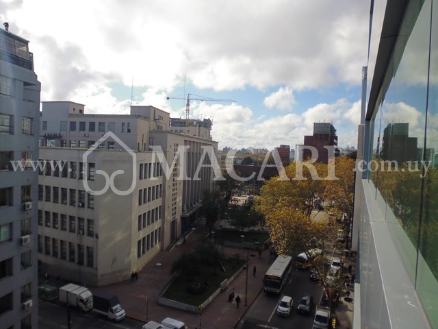 P1120862 -macari