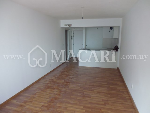 P1120867 -macari