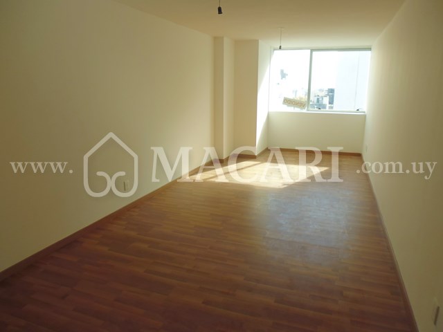 P1120875 -macari