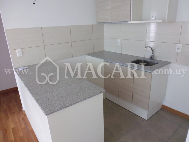 P1120887 -macari