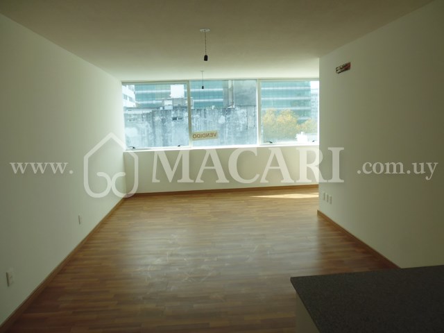 P1120891 -macari