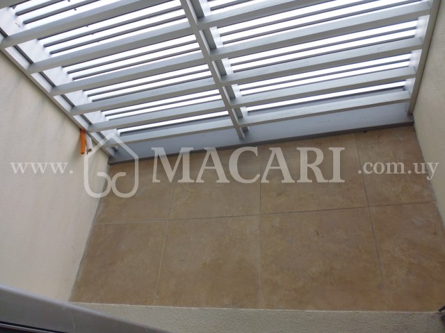 P1120896 -macari