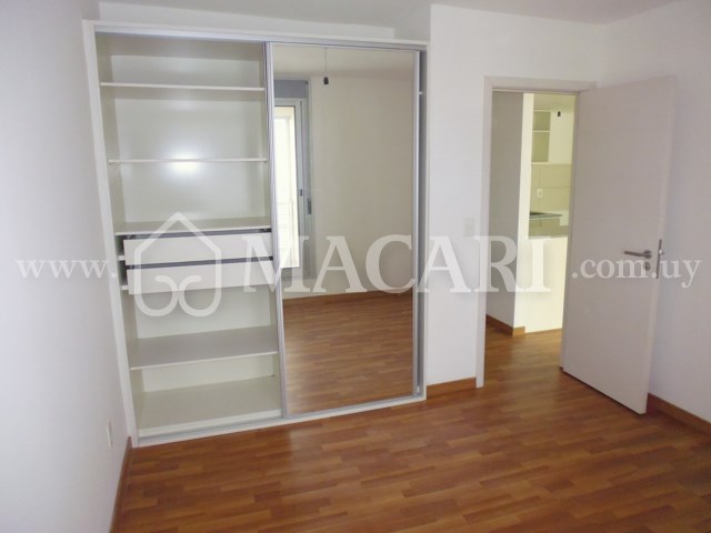 P1120898 -macari