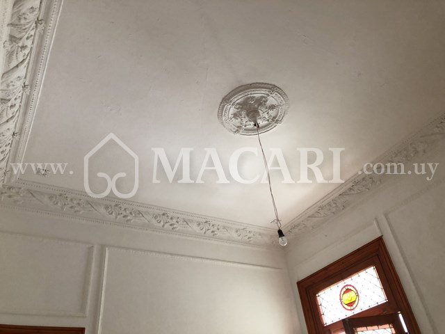 IMG_0968 -macari