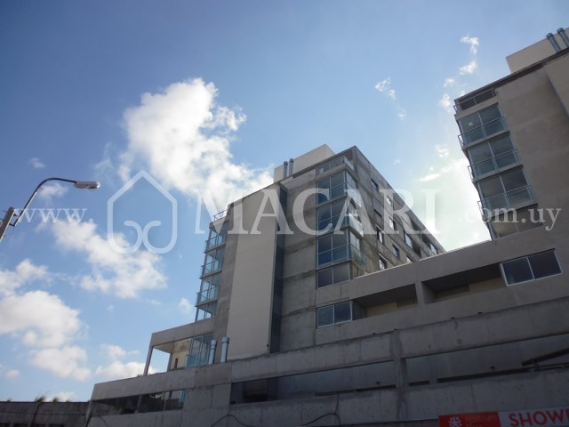 P1180229 -macari