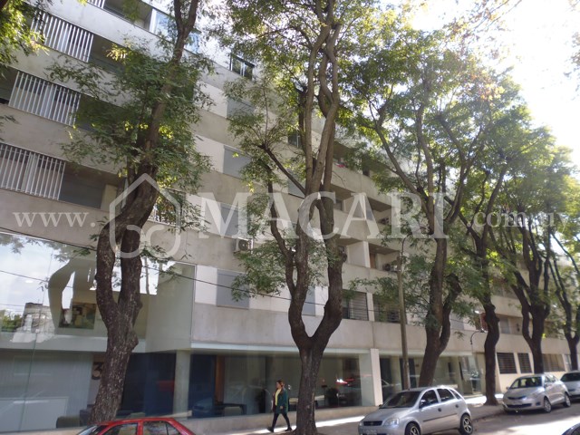 P1180233 -macari