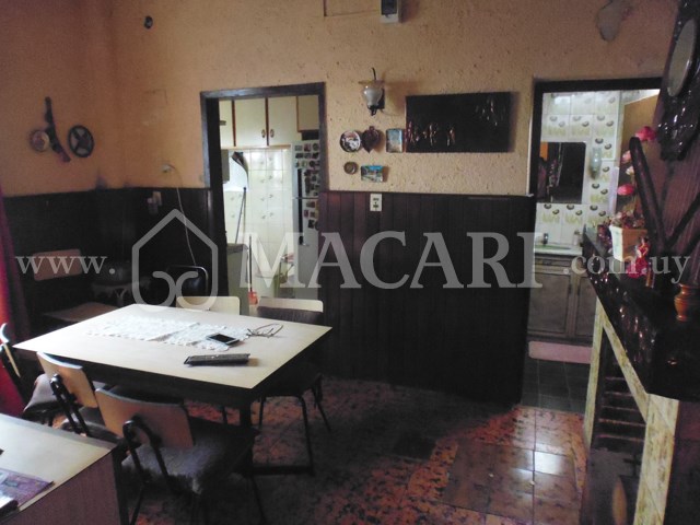 P1200570 -macari