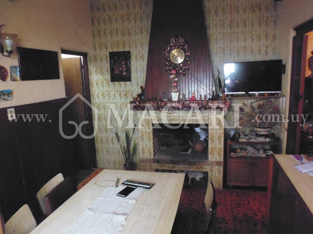 P1200572 -macari