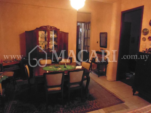 P1200586 -macari