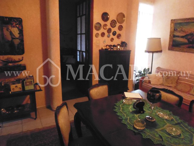 P1200588 -macari