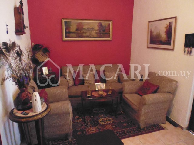 P1200590 -macari