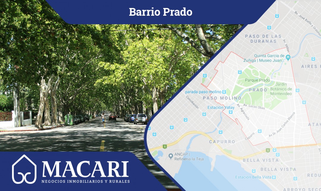 Prado, vivir entre espacios verdes