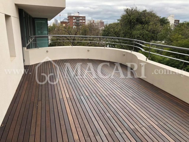 6 -macari