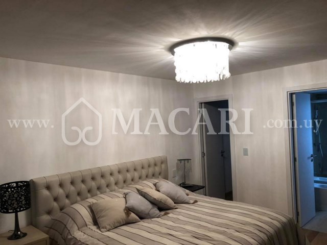 64511461_2366431700046298_3965324621841956864_n -macari