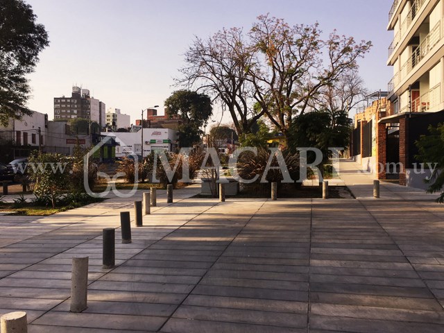 VEN4_3Fg -macari