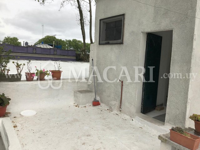 4453ab89-da24-4384-8ad2-b9ebe87b17b7 -macari