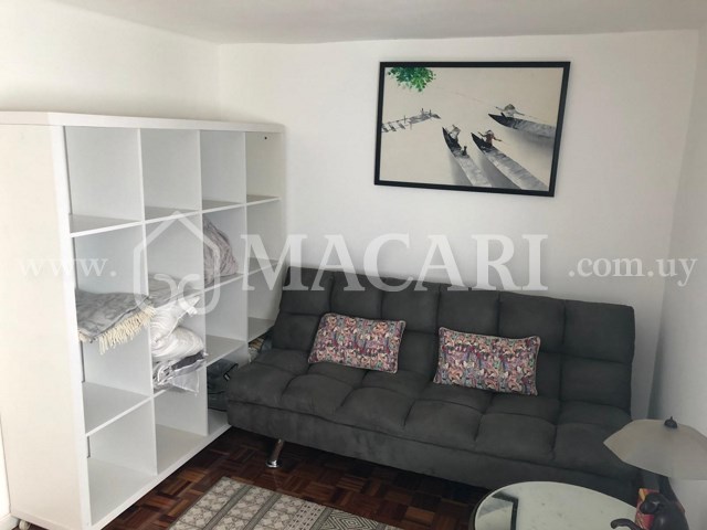 be20c44c-f2b5-4203-b068-bdffdf3ef7d4 -macari