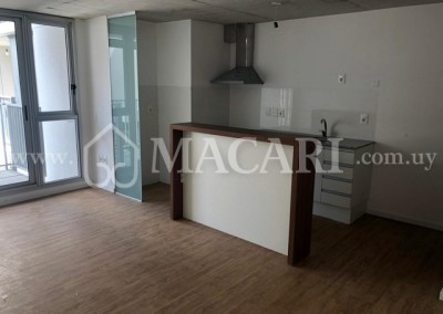 1c7acd4e-908f-47eb-8210-94a2e171b19b -macari