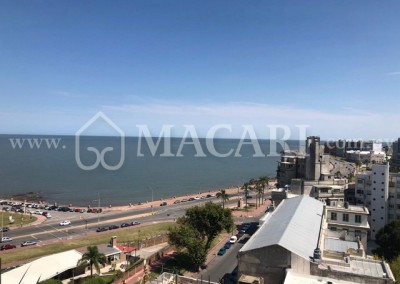72f6c0ce-fe20-458a-84b9-cd7f655a50f2 -macari