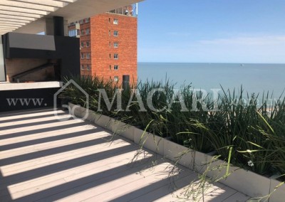e341c14f-52c9-4ad9-8c53-e070cad3cc8e -macari