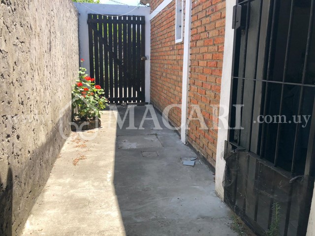 724d7f4a-0582-42fe-97d7-684028094b24 -macari