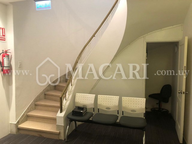 217f1801-5d7c-4dee-ad57-a648f055a49c -macari