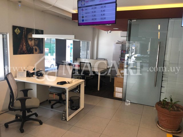640ae5f4-d7f9-4bc3-81ba-5e837b7dbf81 -macari