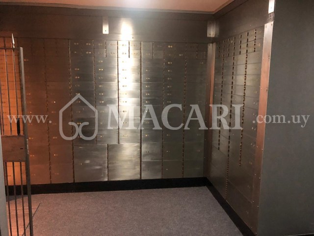 880d5c06-f440-4753-b43b-19ce1d5055cd -macari