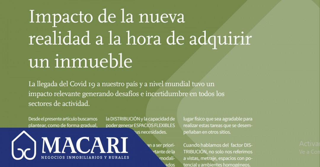 Revista Ciudades, edición núm. 81