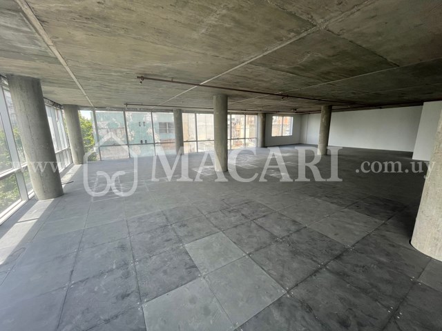 3d07c188-7e68-4181-975c-d7f3e0842c9f -macari