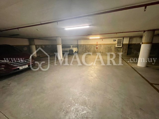 6c387934-3ca8-4fbd-aff2-04552a388cc4 -macari